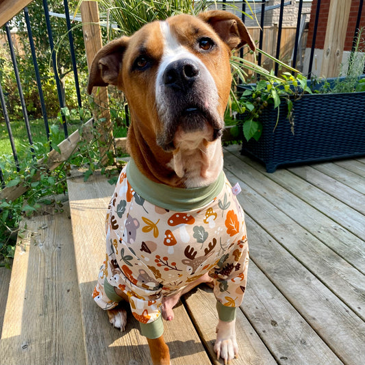 Forest Animals Dog Pajamas by Bully Love Boutique, woodland creature dog apparel with forest-themed print on cozy pajamas for all sizes.