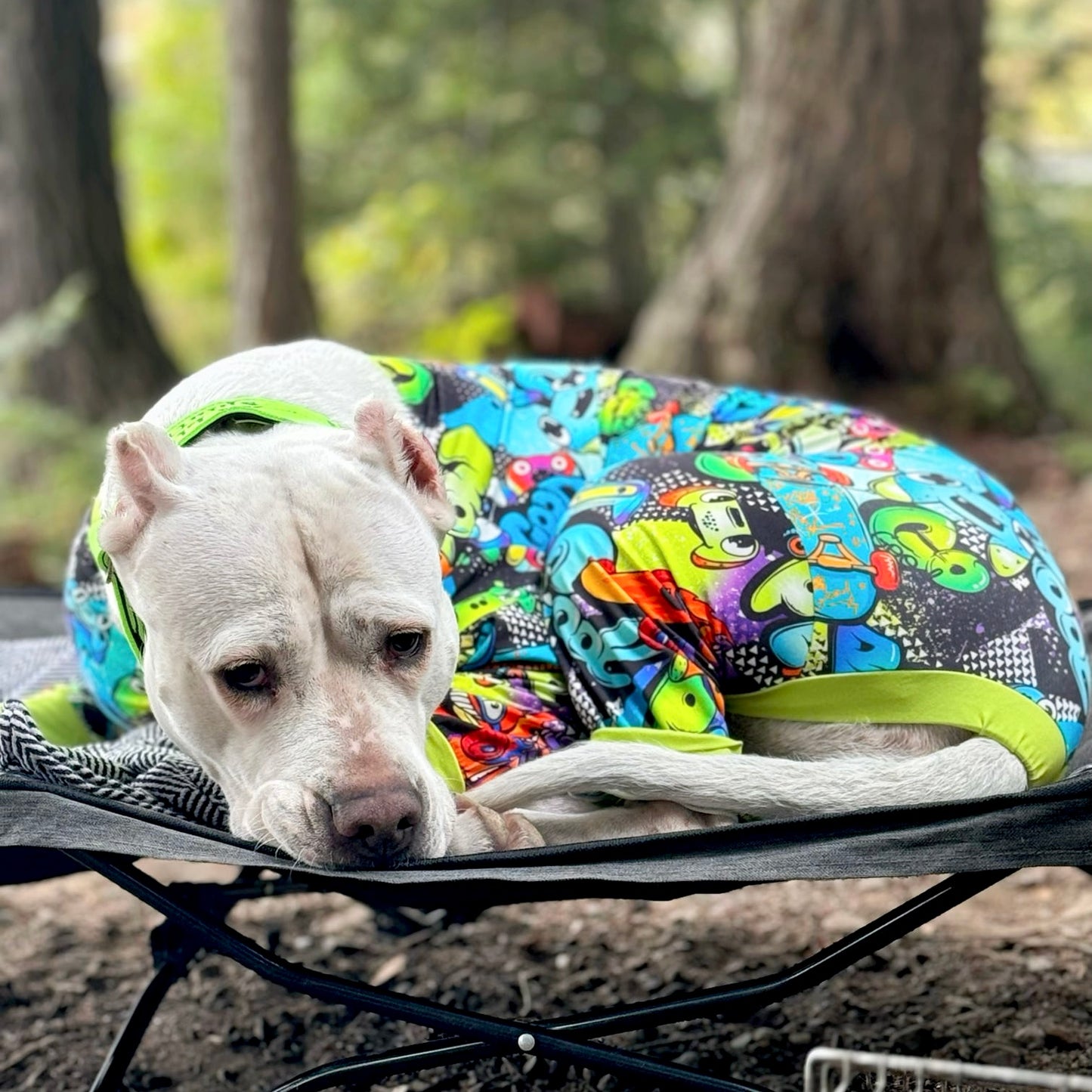 Graffiti Dog Pajamas