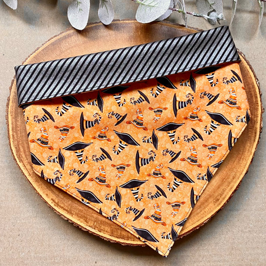 Witchy Hats Dog Bandana