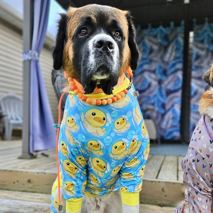 So Ducking Cute Dog Pajamas