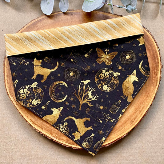Black Magick Dog Bandana