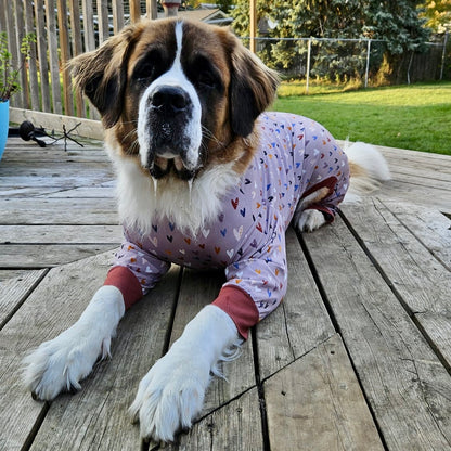 Neutral Love Dog Pajamas