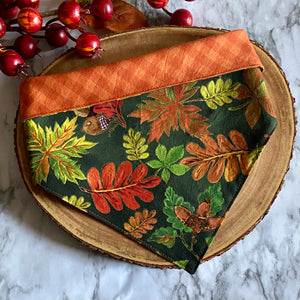 Fall Plaid Bandanad
