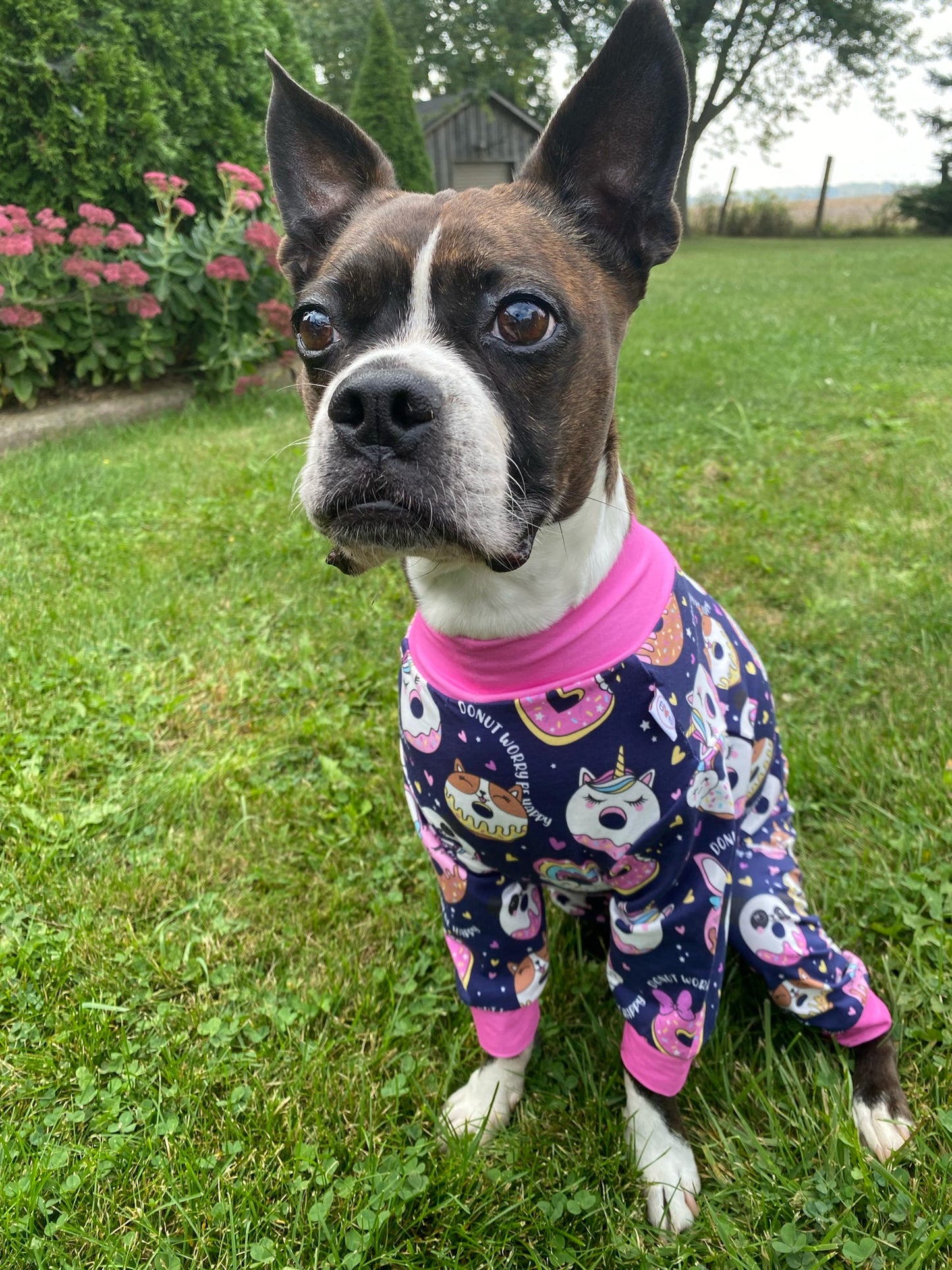 Donut You Love Me Dog Pajamas