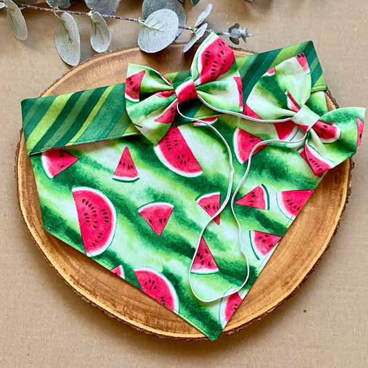 Watermelon Dog Double Bows