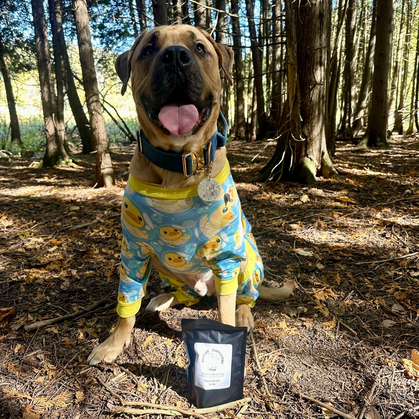 So Ducking Cute Dog Pajamas