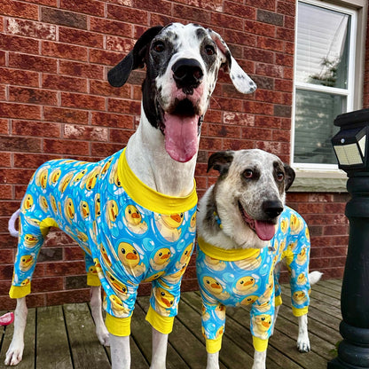 So Ducking Cute Dog Pajamas