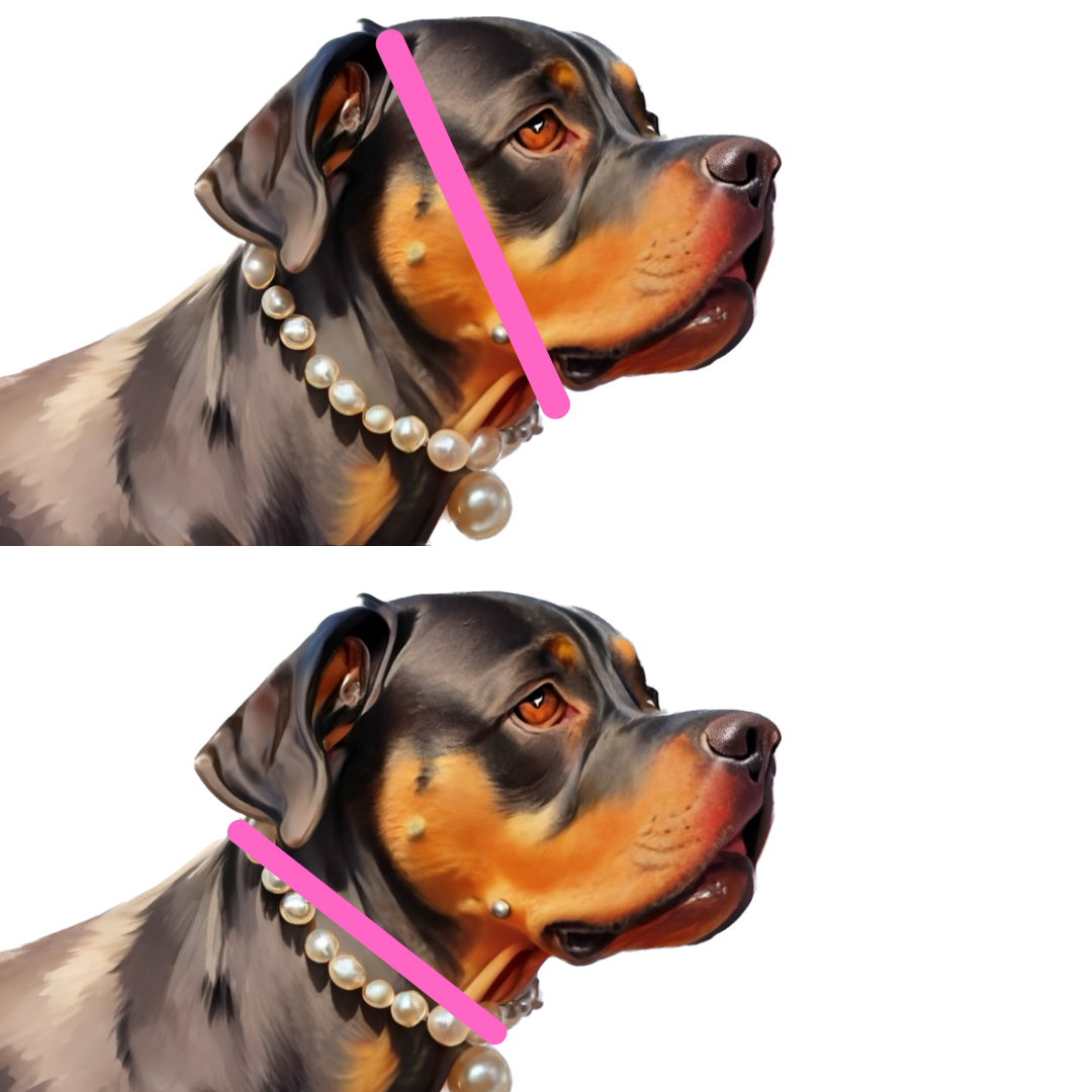 Pink Camo Beaded Collar