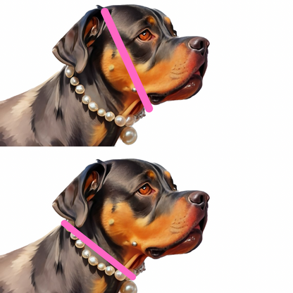 Barbie Glow in the Dark Beaded Collar