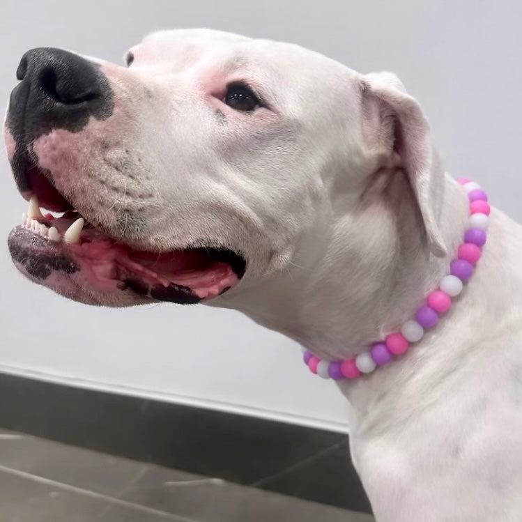 Barbie GLOW IN THE DARK Beaded Collar