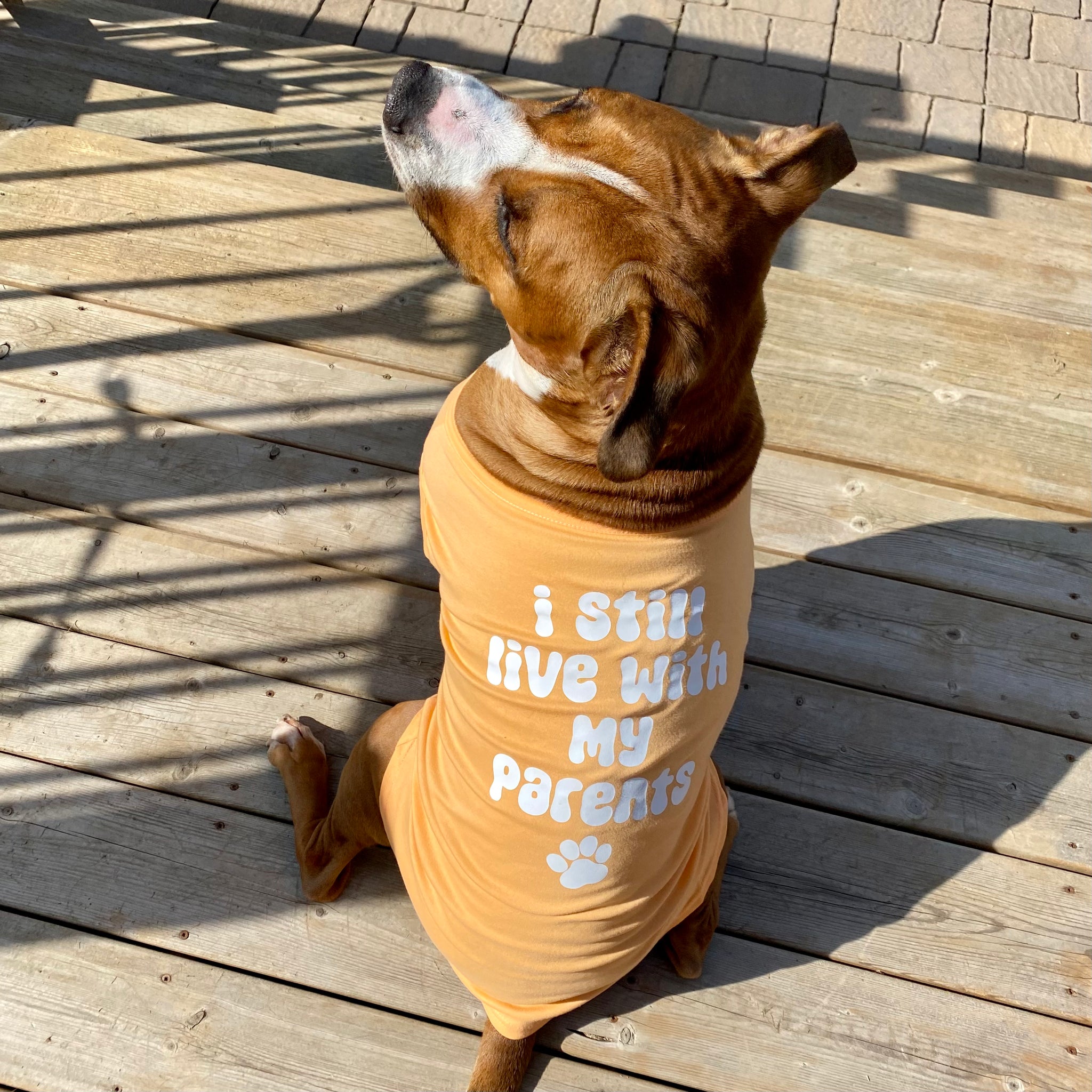 Dog Tshirts Bully Love Boutique